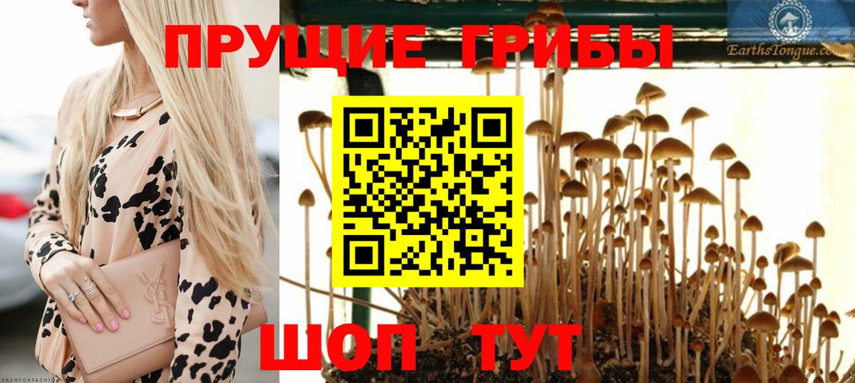 Галлюциногенные грибы ЛСД  Вход с VPN  Реж  Псилоцибиновые грибы Psilocybine cubensis 