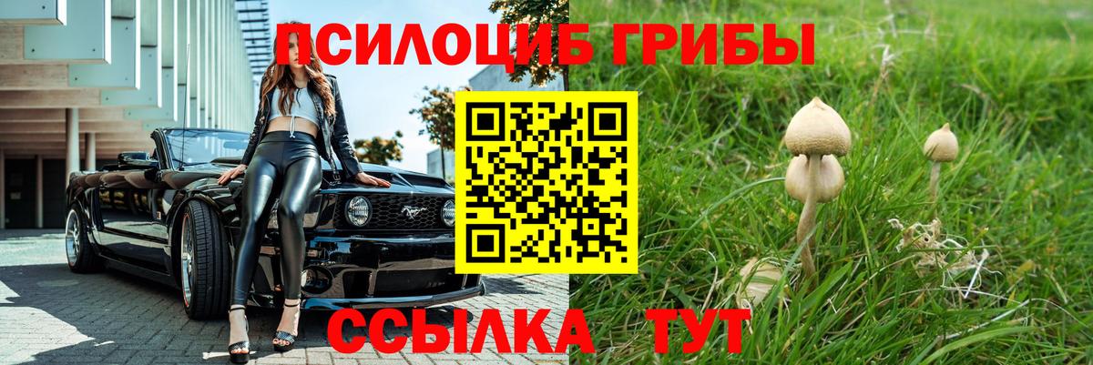 Галлюциногенные грибы Psilocybe Реж
